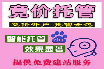 案例解析：专业SEM托管服务助力企业提升用户体验