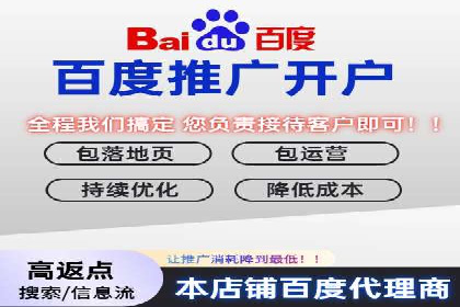 不同平台的SEM广告投放比较及成功案例分析